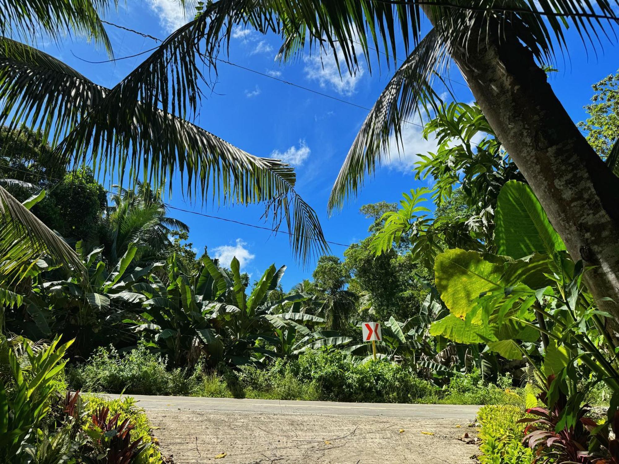 Jungle Kingdomes Guest House Siquijor Exterior photo