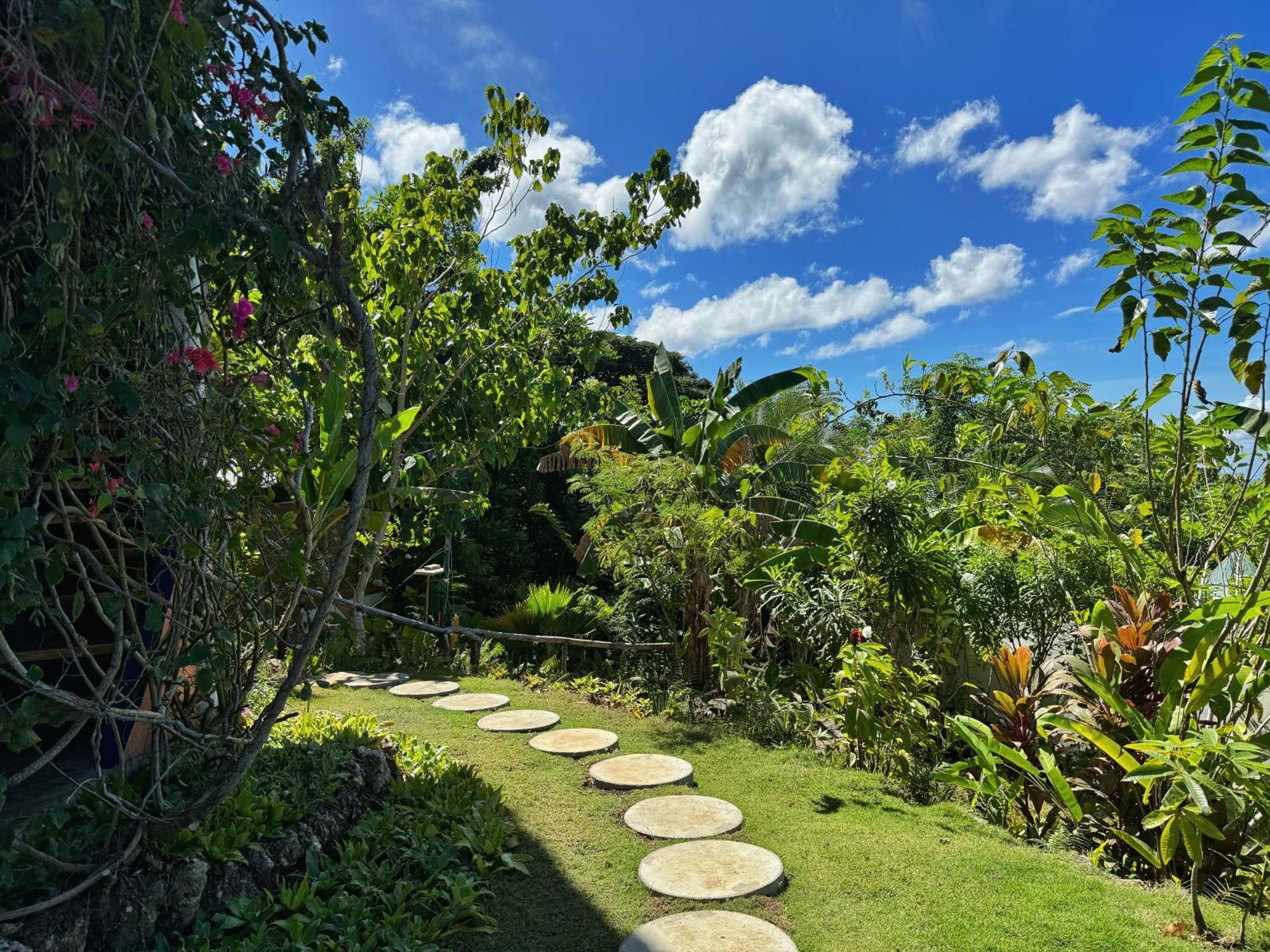Jungle Kingdomes Guest House Siquijor Exterior photo