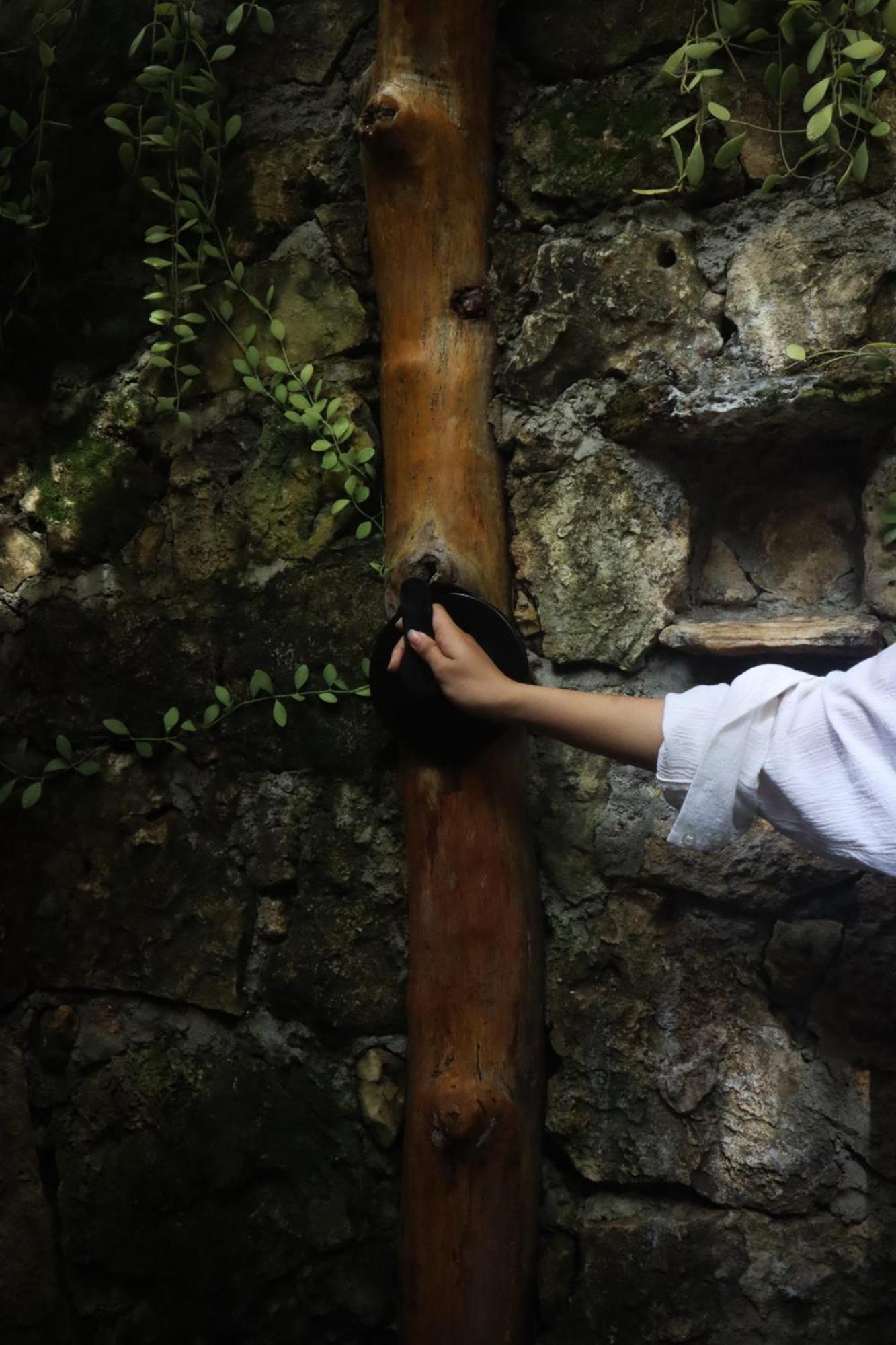 Jungle Kingdomes Guest House Siquijor Exterior photo